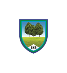 Logotipo de Aula Virtual SMB